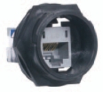 HI-IMPACT Connector Category 6 Universal Gray