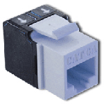 Module CAT6A High Density Blue