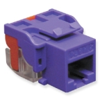 Module Cat 6 EZ Purple