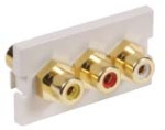 AV Module RCA Composite Gold Feed-Thru 1 Unit Office White