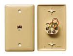 NetSelect Molded-In Plate for Voice 1 Gang 1 RJ11 Jack 6 Position 4 Conductor Screw Terminations White