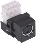 AV Connector S-Video 110 Punch-Down Black